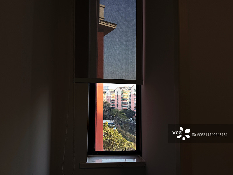 透过窗户看到的树图片素材