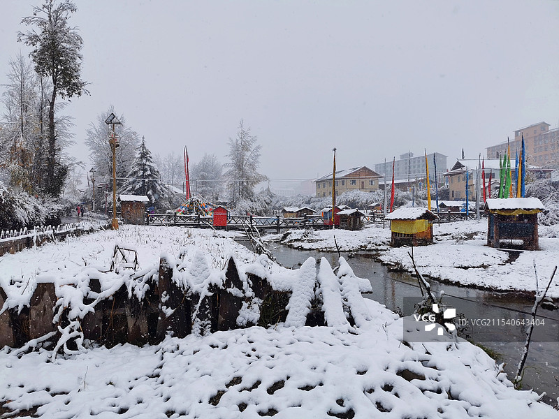 傲雪凌霜图片素材