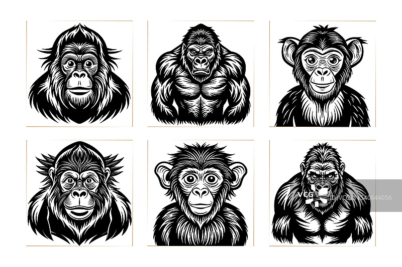 猴子、大猩猩、猩猩 动物艺术图片素材