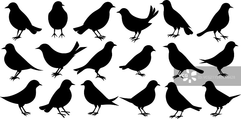 鸟类剪影集合图片素材