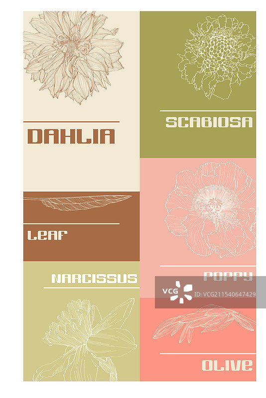 花园花卉雕刻背景图片素材