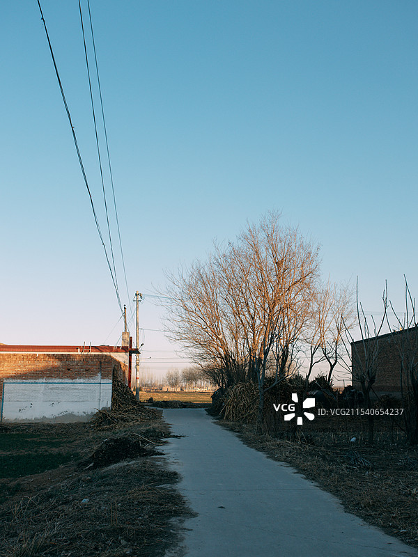 华北平原上的村落图片素材