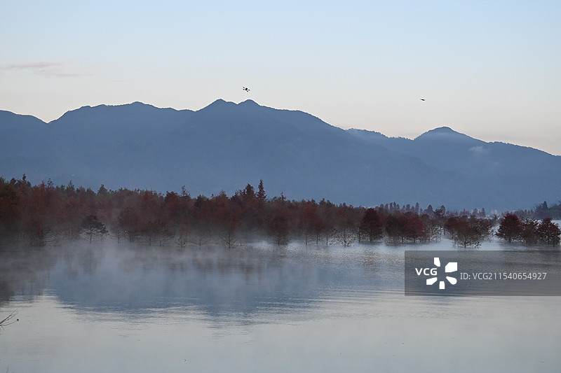 长潭水库红杉林图片素材
