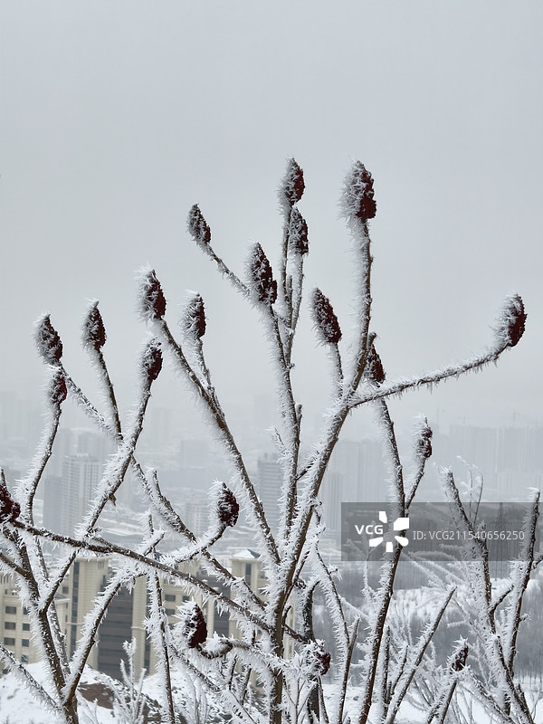 雾凇图片素材