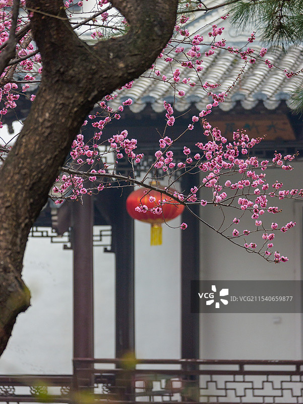 紫竹院公园图片素材