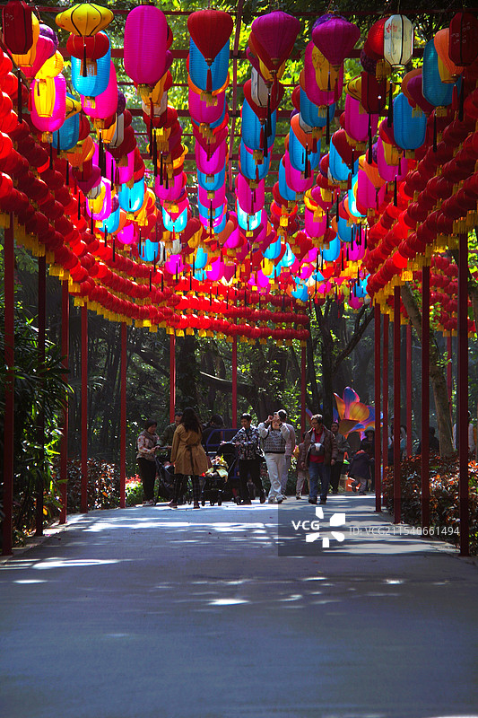 2025广州新春灯会（越秀公园）精美彩灯：凤冠 鲤鱼跃龙门 金蛇 簪花青蛇 表情包 走马灯 福牌等图片素材