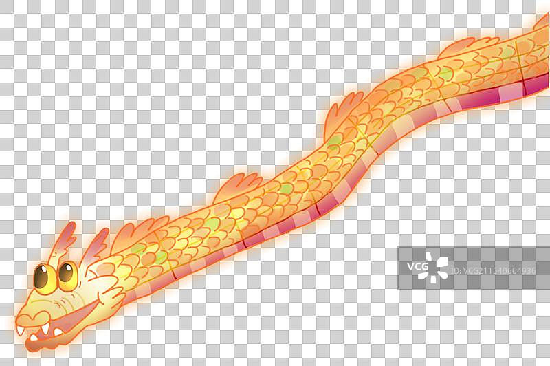 鱼灯 龙灯图片素材