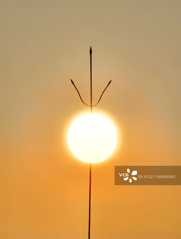 光箭交融：箭与太阳光相互融合，难以分辨箭身与光芒，展现出一种超自然的美丽。图片素材