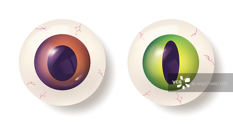 逼真的动物眼睛套装图片素材