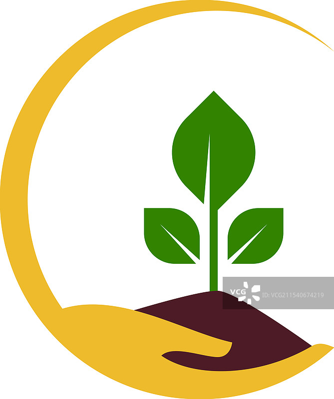 手中绿色嫩芽的生长概念图片素材