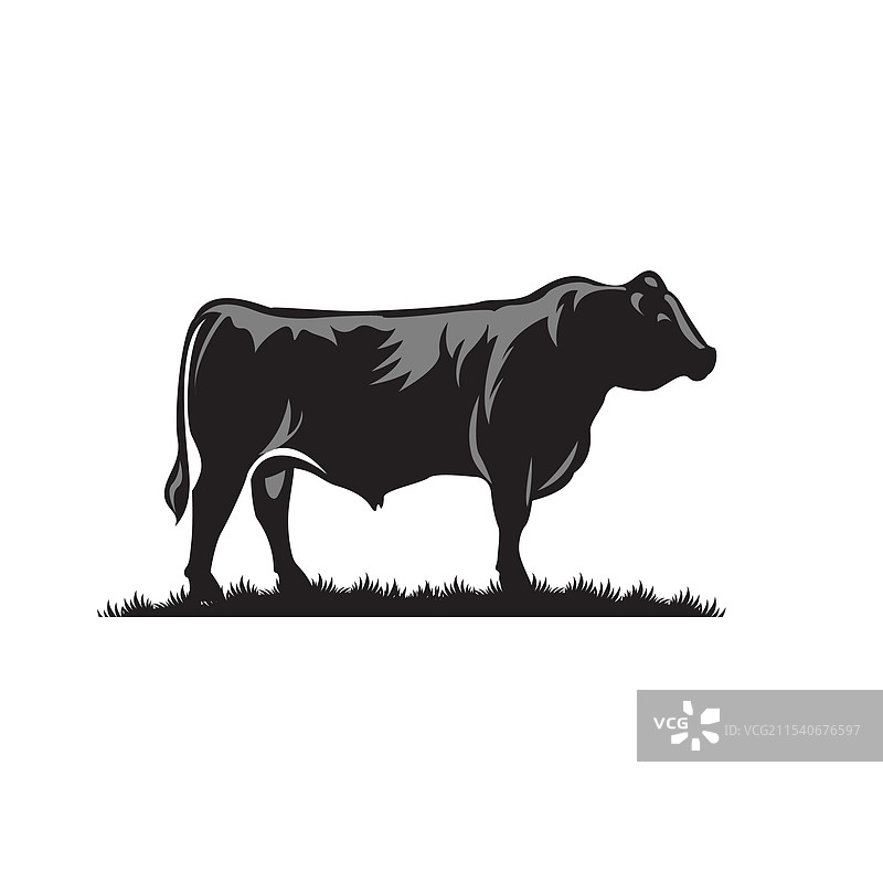 和牛公牛图片素材