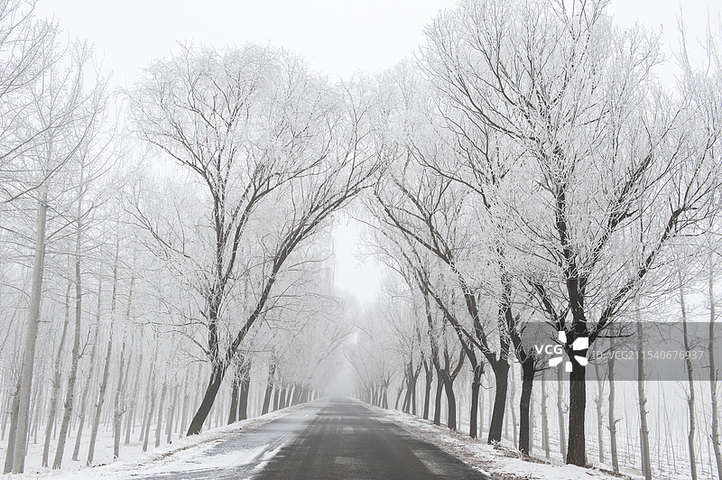 河堤上的雾凇图片素材