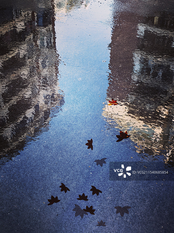 雨后地面的倒影特写图片素材