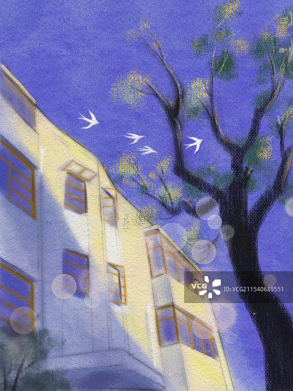 年少的你图片素材