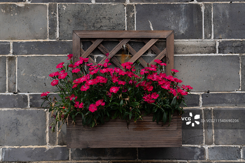 墙壁的花图片素材