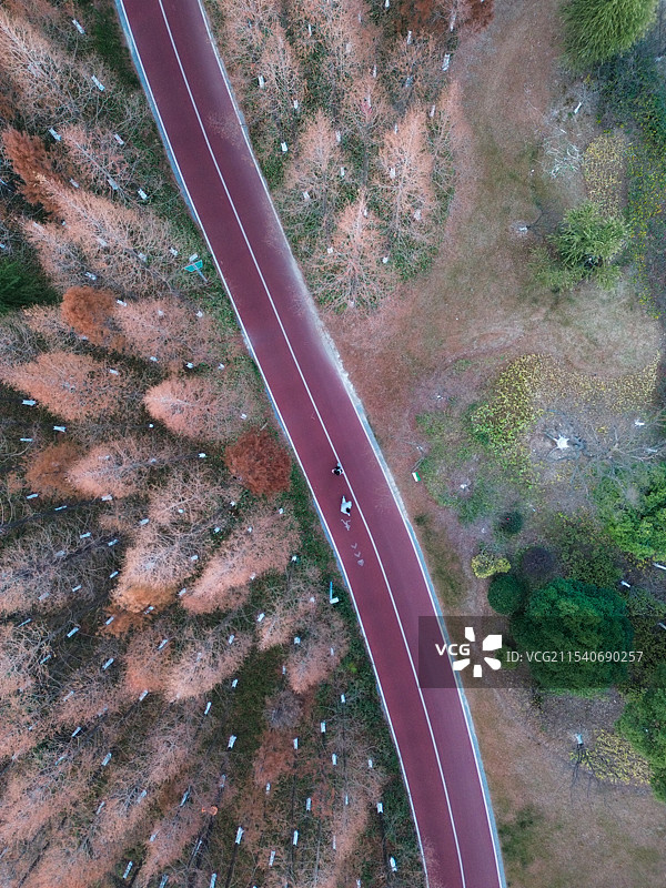 苏州公园初冬健身步道漫步的行人图片素材