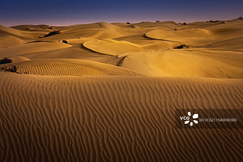 塔克拉玛干沙漠图片素材