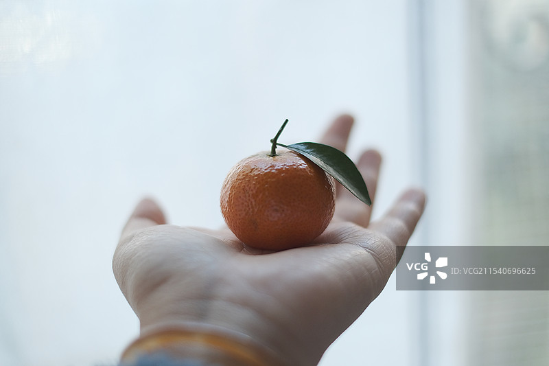 元旦春节喜庆糖果等图片素材