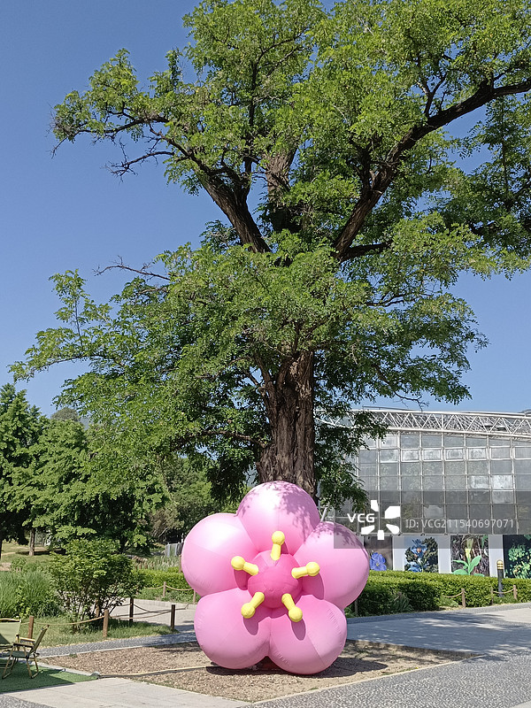 国家植物园图片素材