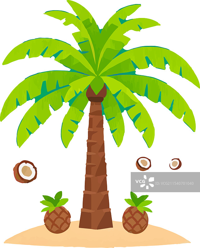 巴林渔港国家传统市场图片素材