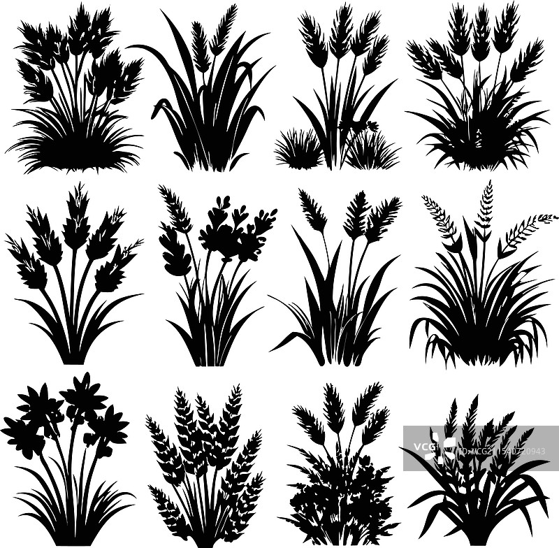 黑色草丛剪影图片素材