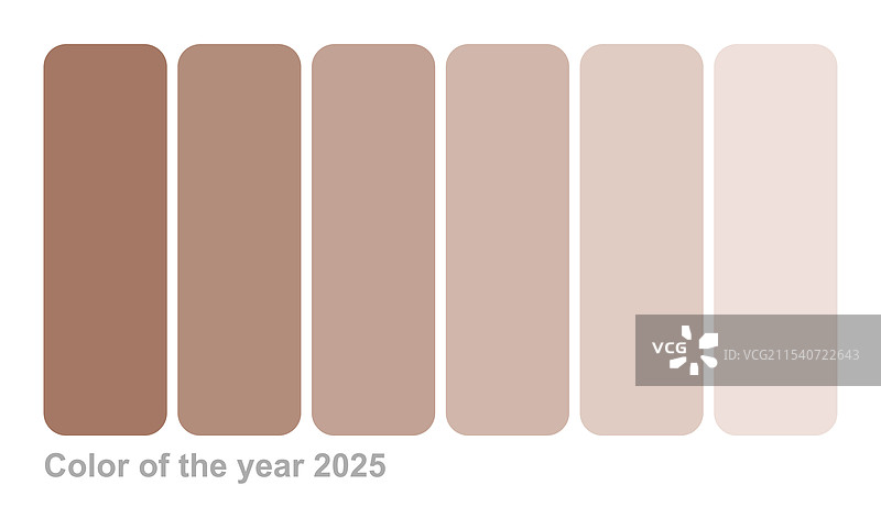 2025年年度色：摩卡慕斯色调棕色调色板图片素材