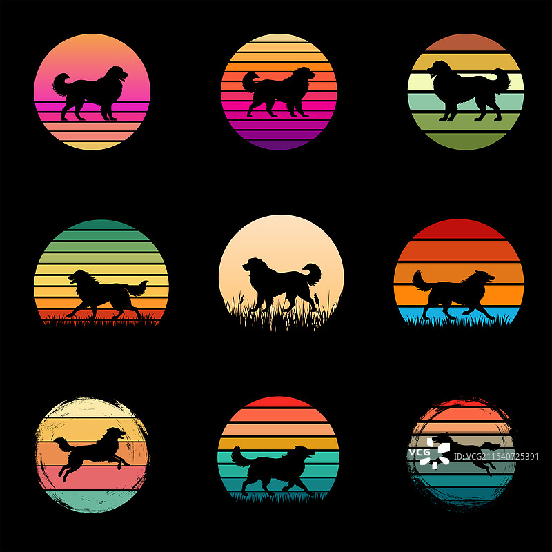 大比利牛斯犬复古日落复古套装图片素材