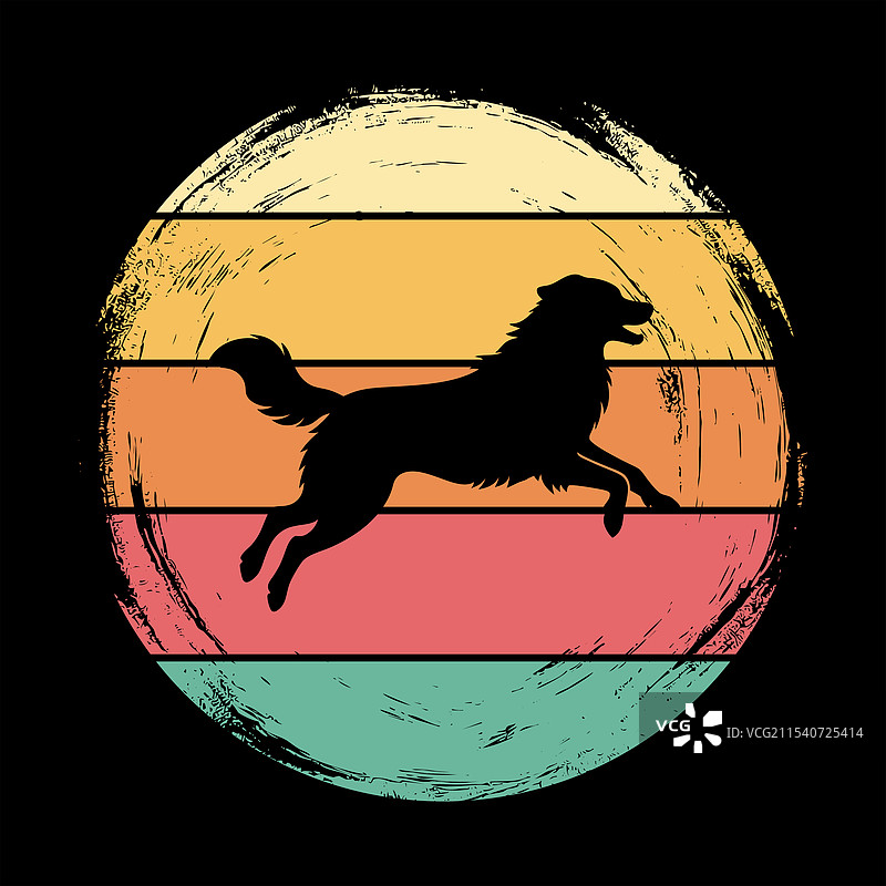 复古风格的大比利时犬图片素材