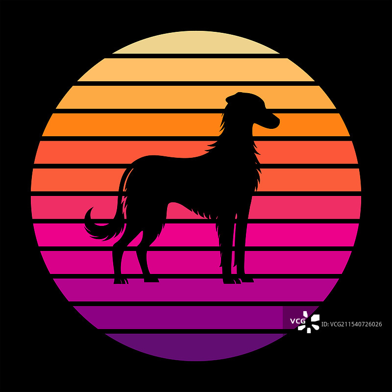 爱尔兰猎狼犬与复古日落图片素材