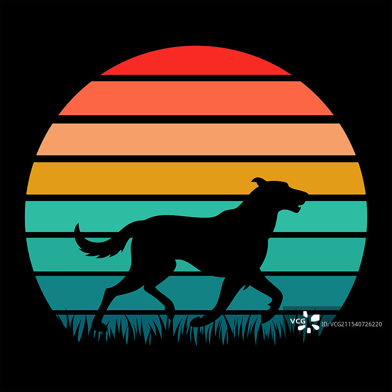 爱尔兰猎狼犬与复古日落图片素材