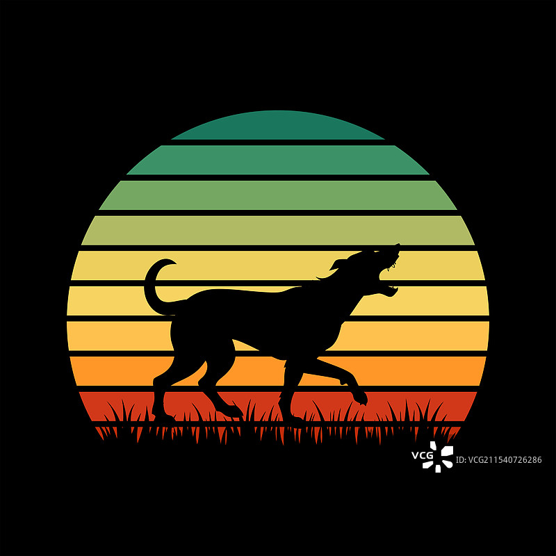 爱尔兰猎狼犬与复古日落图片素材