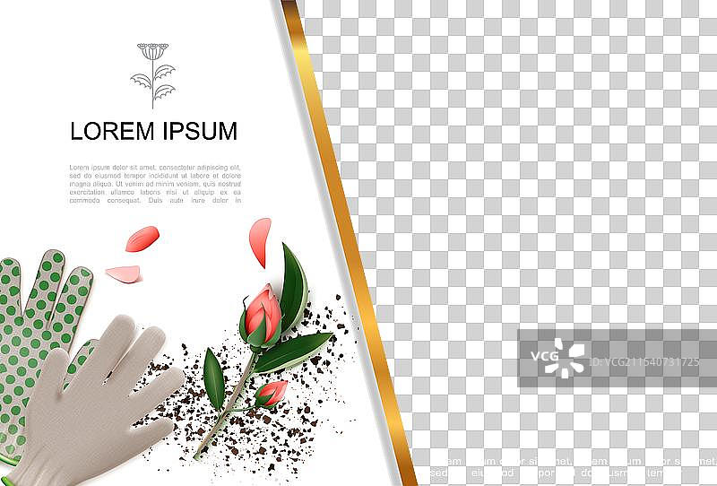 真实的多彩园艺概念图片素材