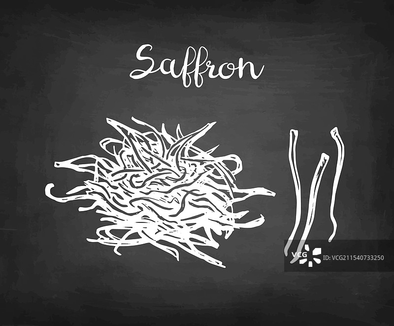 藏红花花卉粉笔素描图片素材