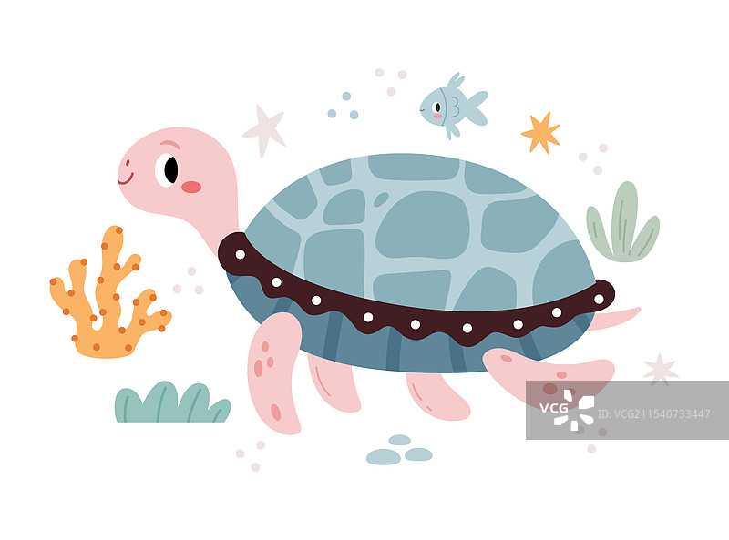 海洋环境中的海龟与鱼类和藻类共生图片素材