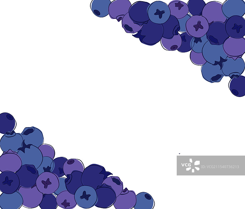 新鲜蓝莓框架的图形轮廓风格图片素材