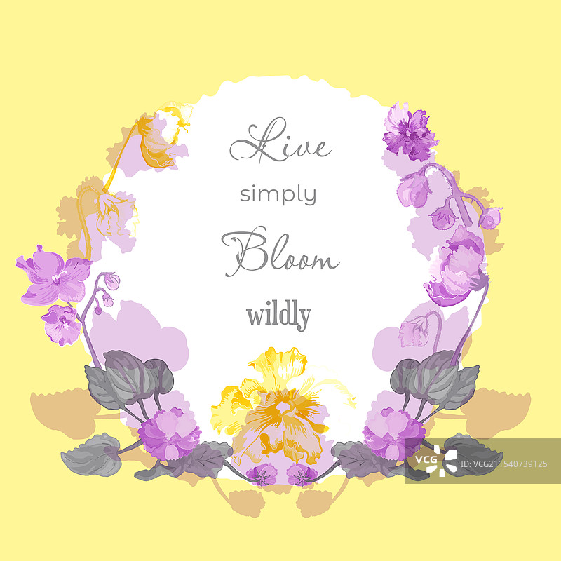 花园里盛开着娇嫩的紫罗兰图片素材