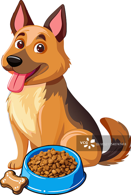 快乐的德国牧羊犬坐在食物旁边图片素材