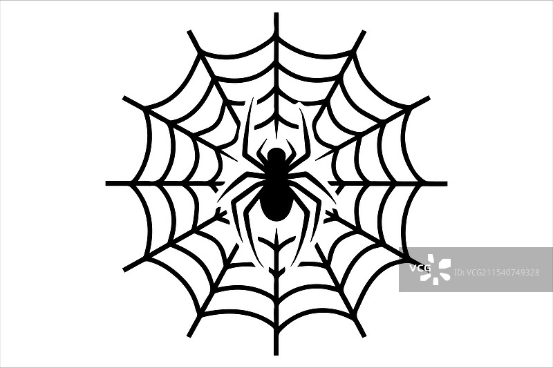 蜘蛛网与蜘蛛的线条艺术图片素材