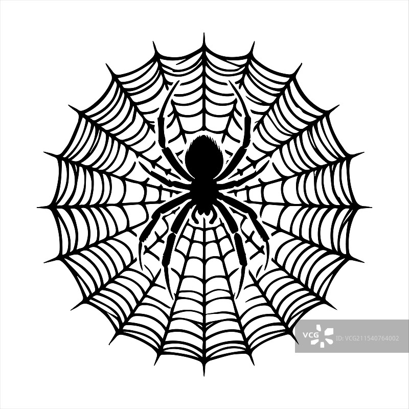 白色背景上的蜘蛛网轮廓图片素材
