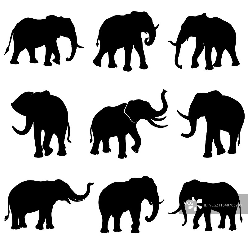 大象剪影集图片素材
