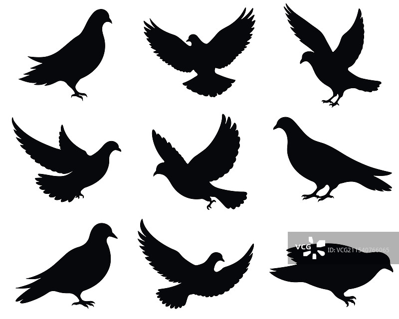 一组鸽子剪影图片素材