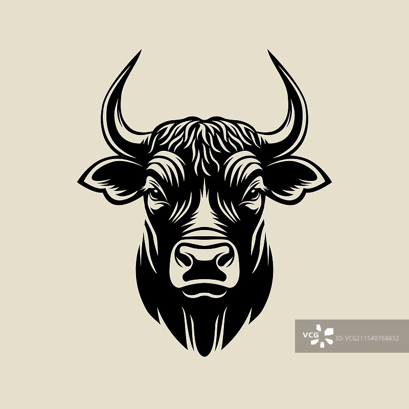 黑色公牛的头部农场动物图片素材