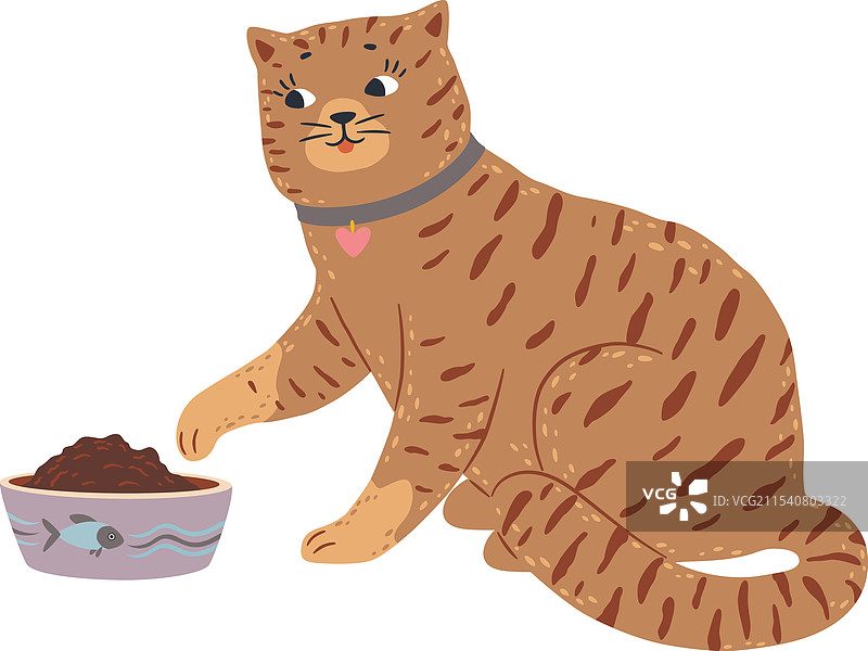 可爱的宠物猫，佩戴着项圈和心形吊坠图片素材