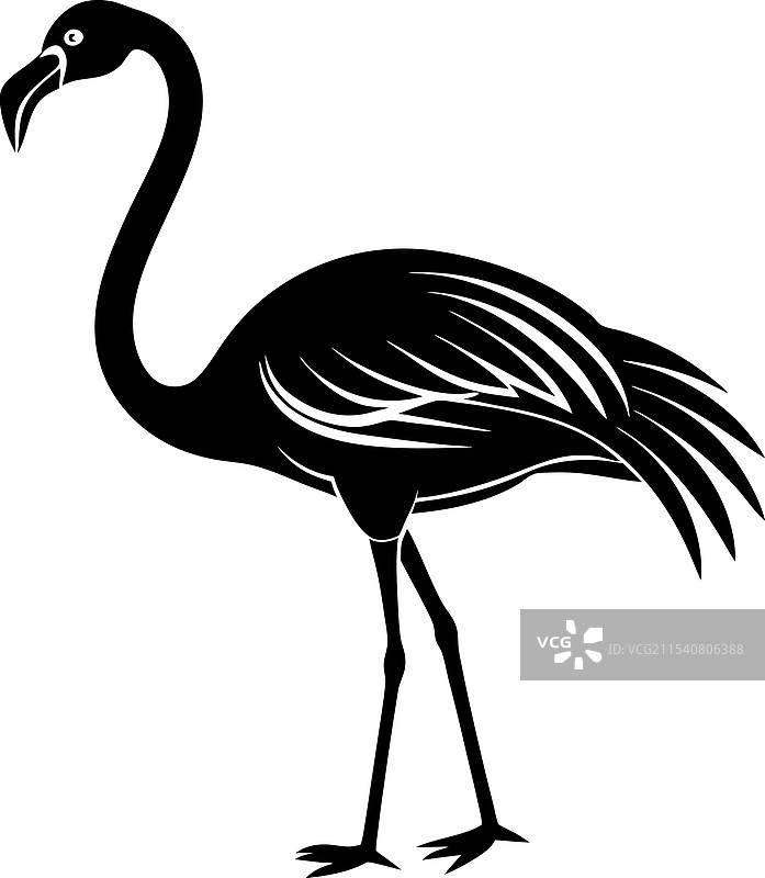 美洲火烈鸟图标图片素材