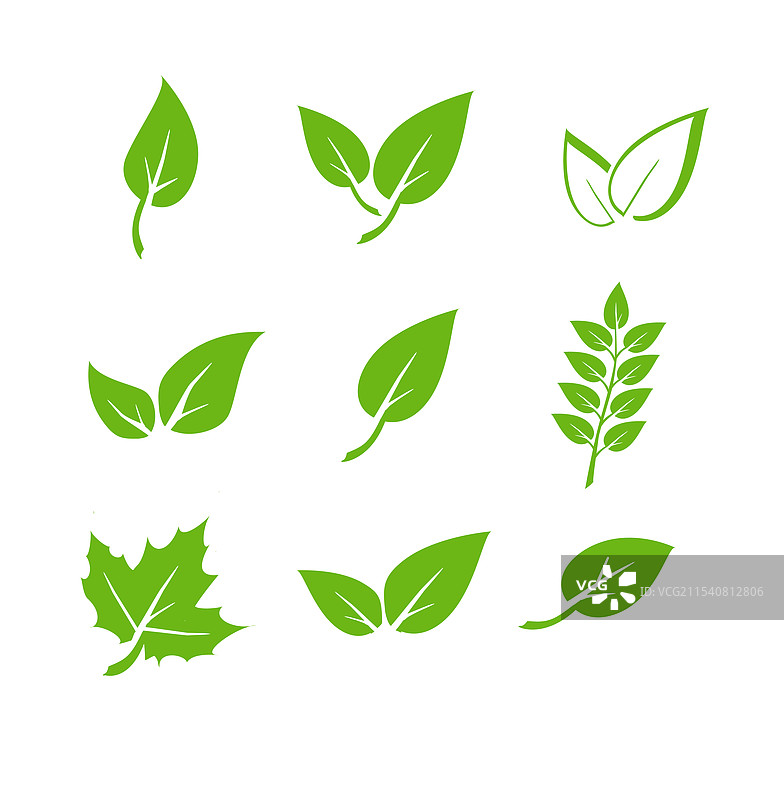 绿色叶子图标集，自然元素设计图片素材