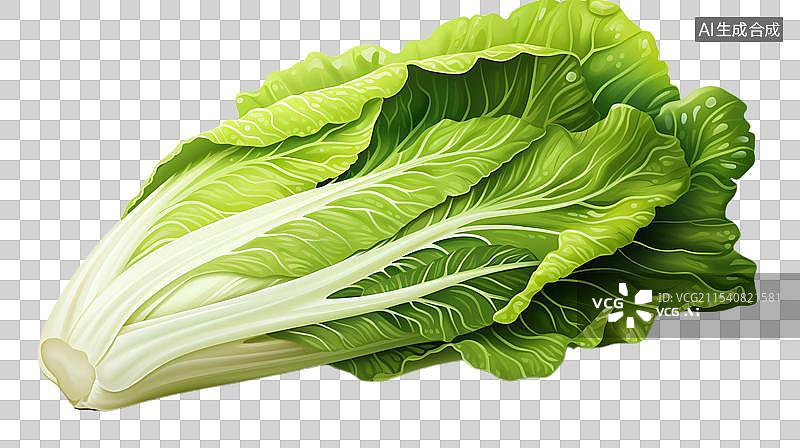【AI数字艺术】手绘大白菜蔬菜插画艺术设计图片素材