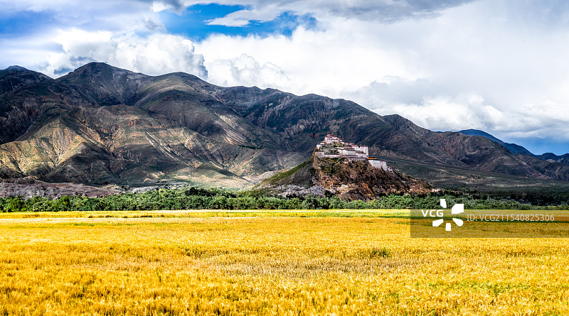 江孜宗山古堡, 2024 秋图片素材