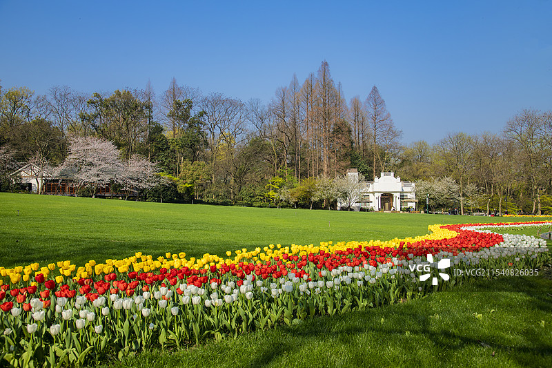蓝天绿草鲜花盛开的太子湾公园图片素材