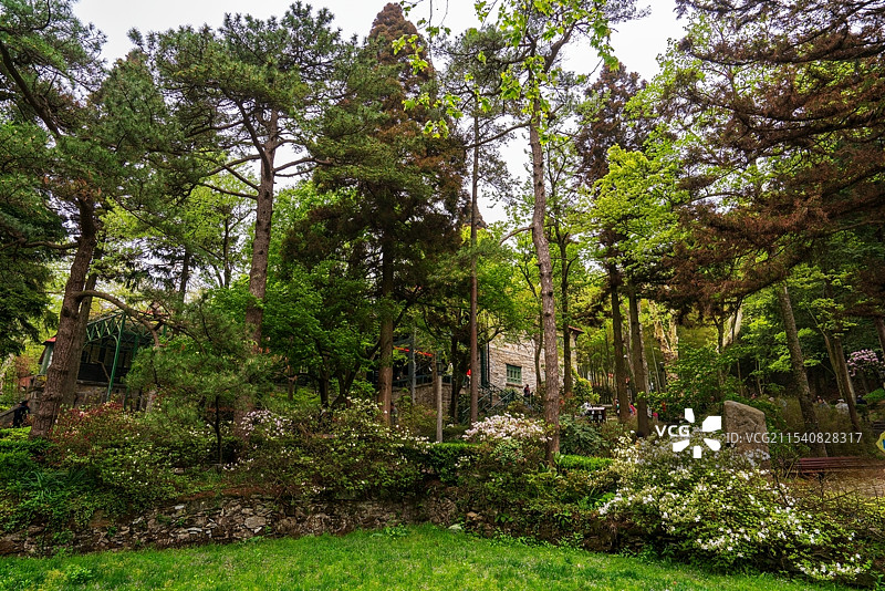 庐山风景名胜区美庐别墅图片素材