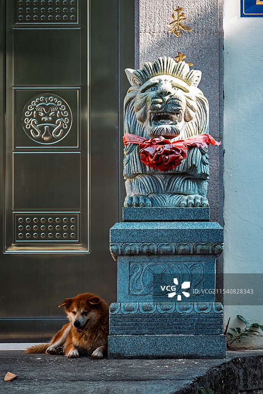 小狗和石狮子图片素材